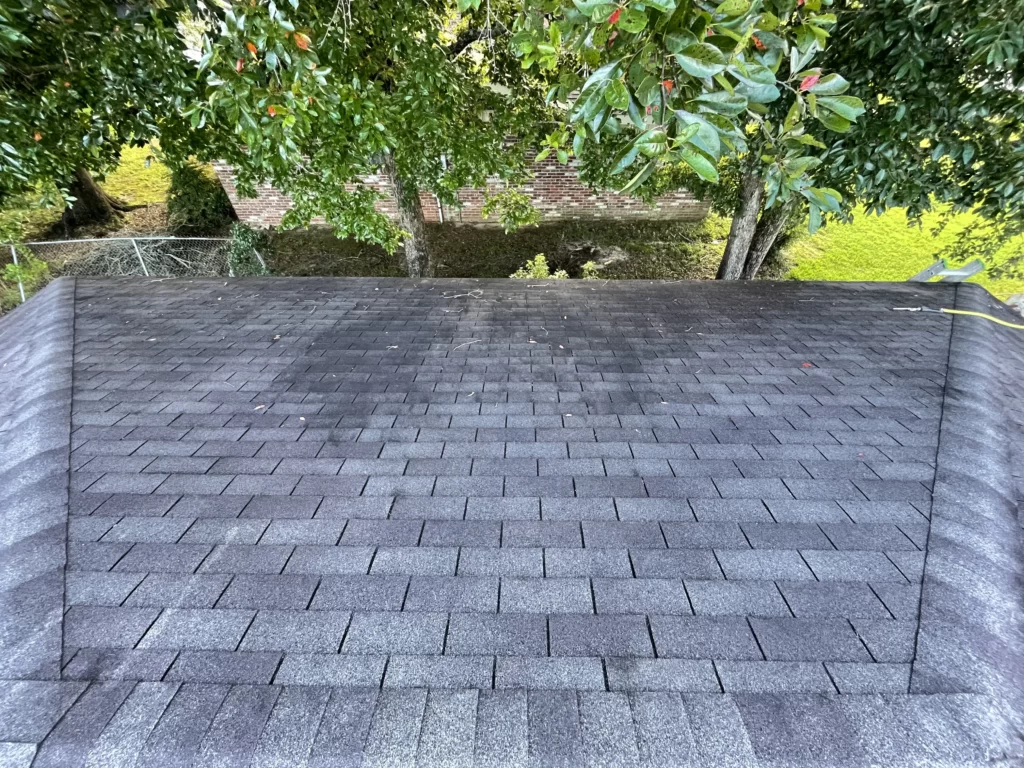 roof cleaning mobile, al